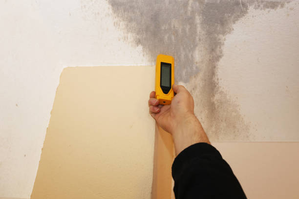 Best Residential Mold Inspection & Testing  in Twin Lakes, NM