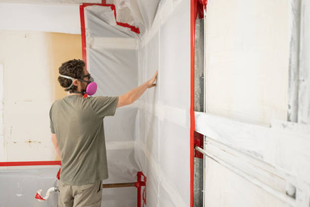 Twin Lakes, NM Mold Removal Company